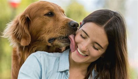 mujeres con perros xxx|Perros follando a mujer zoofilia